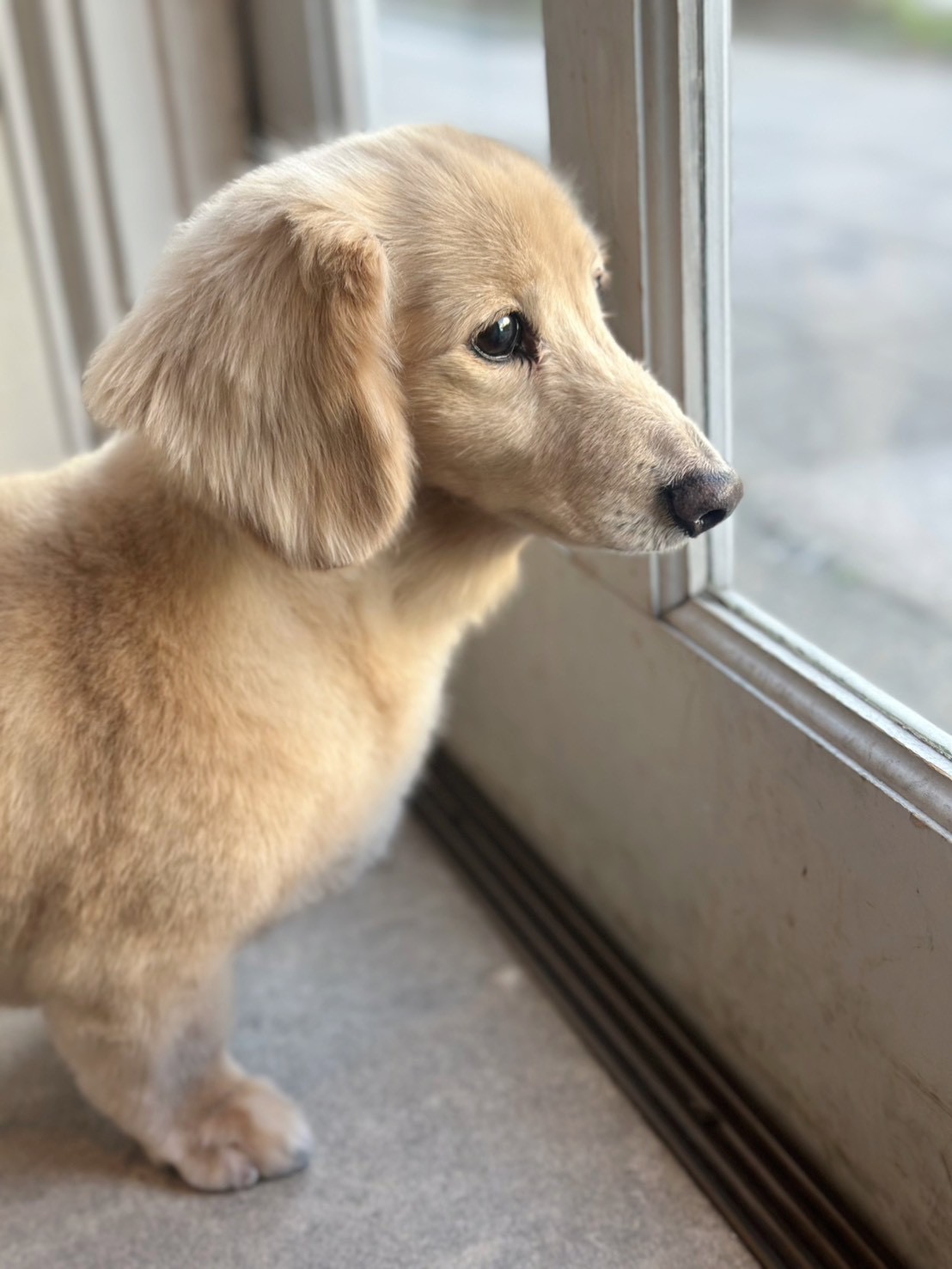 やまと