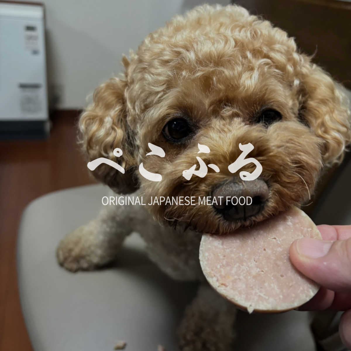 pekofull_TORI （冷凍・国産ロールフード）