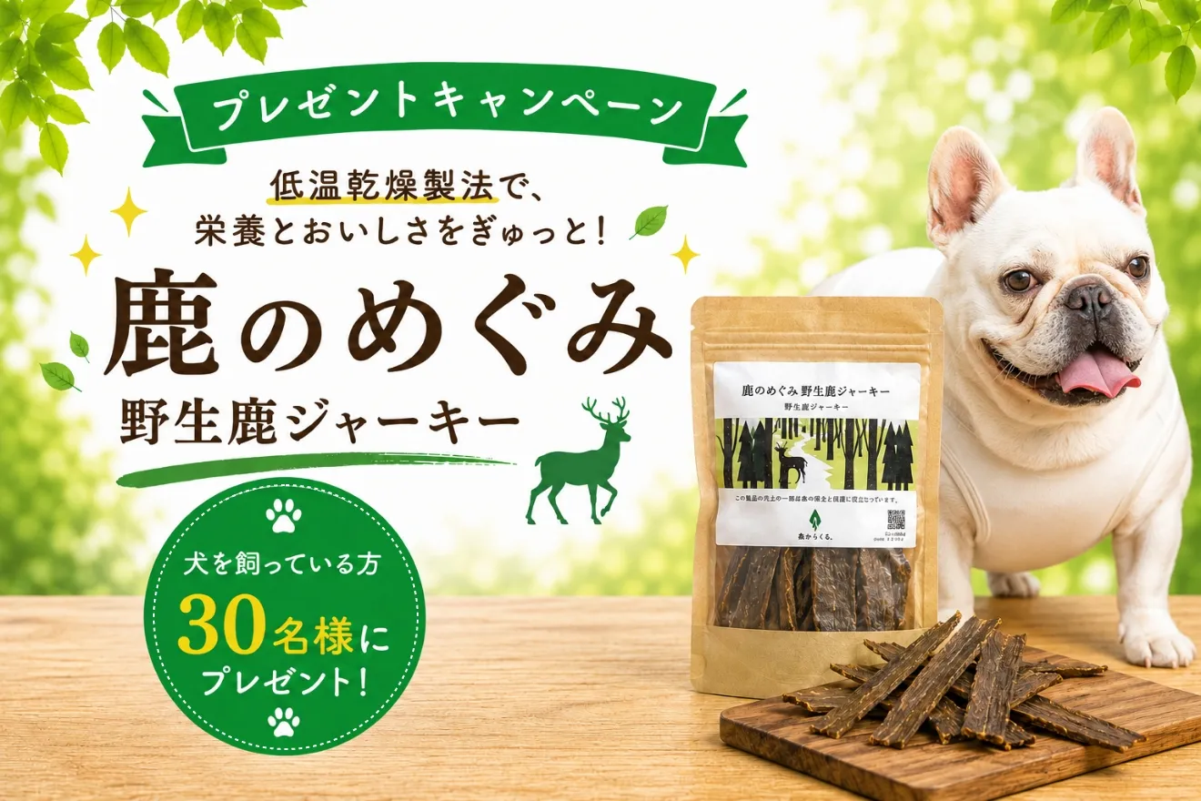 トップバナー