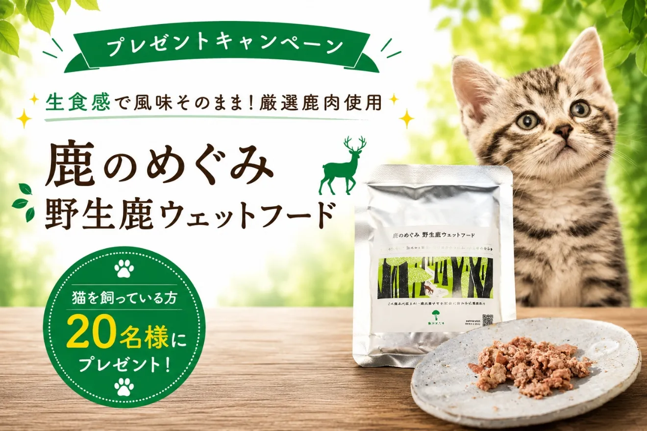 トップバナー