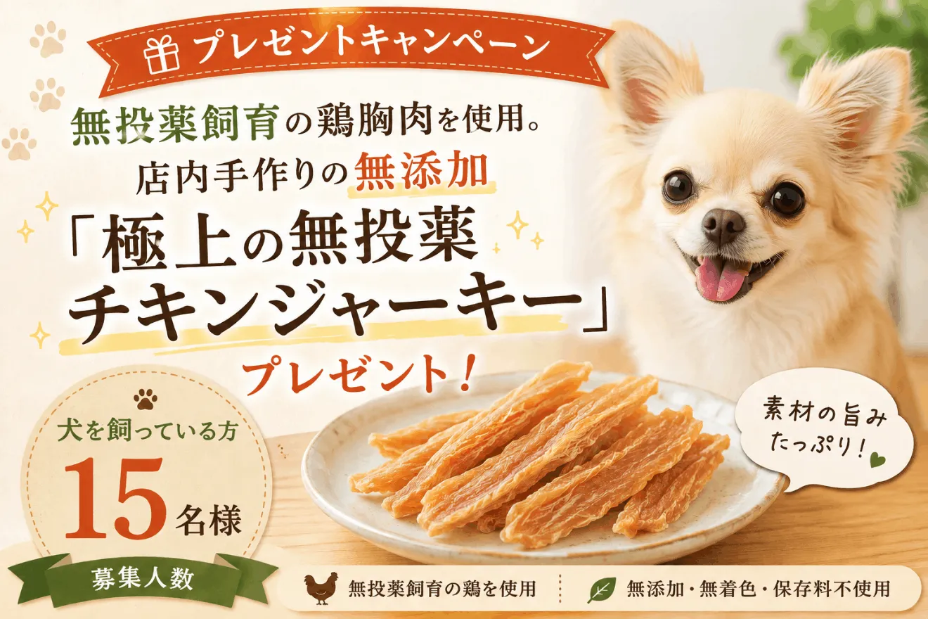 トップバナー