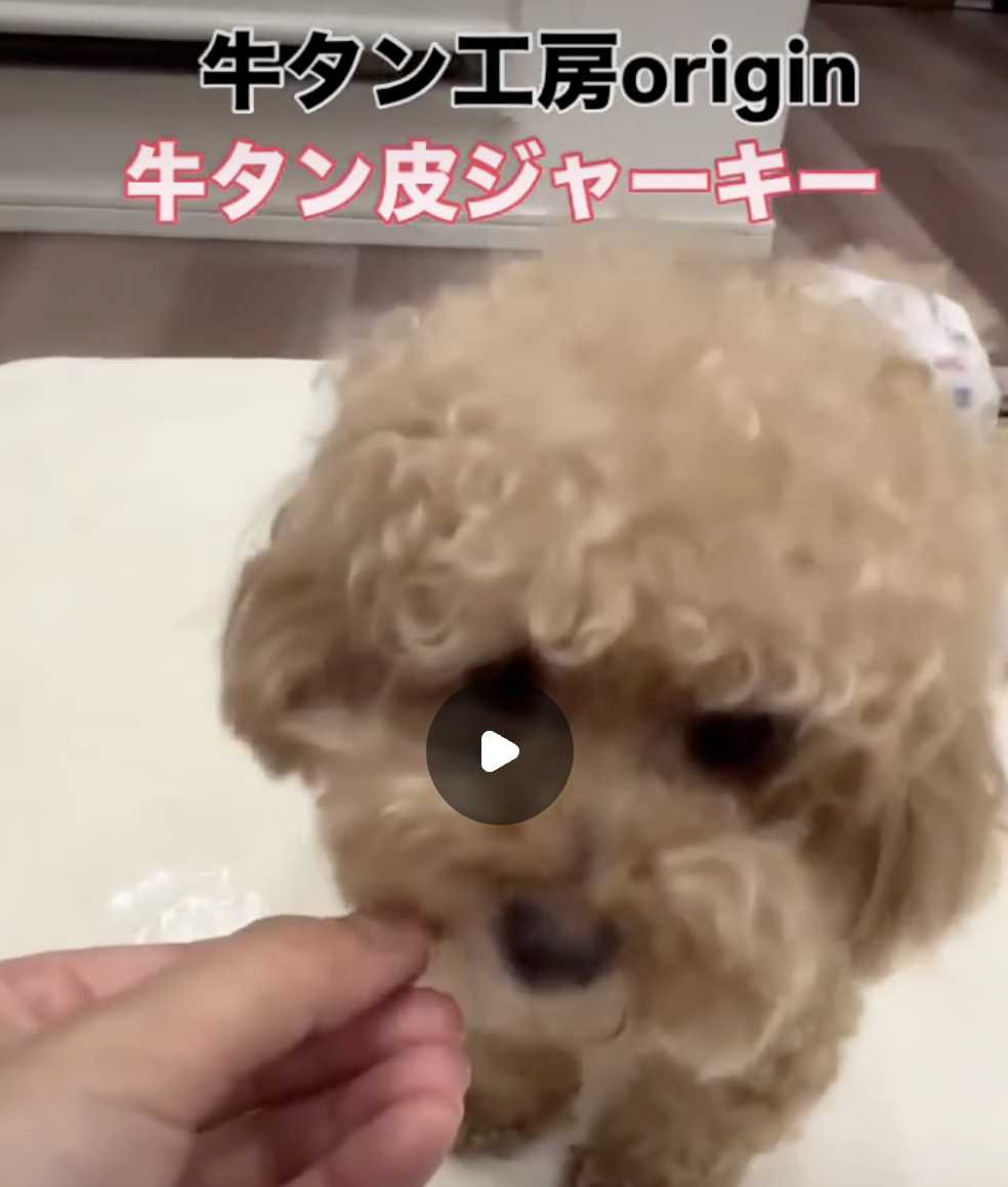 動画サムネイル