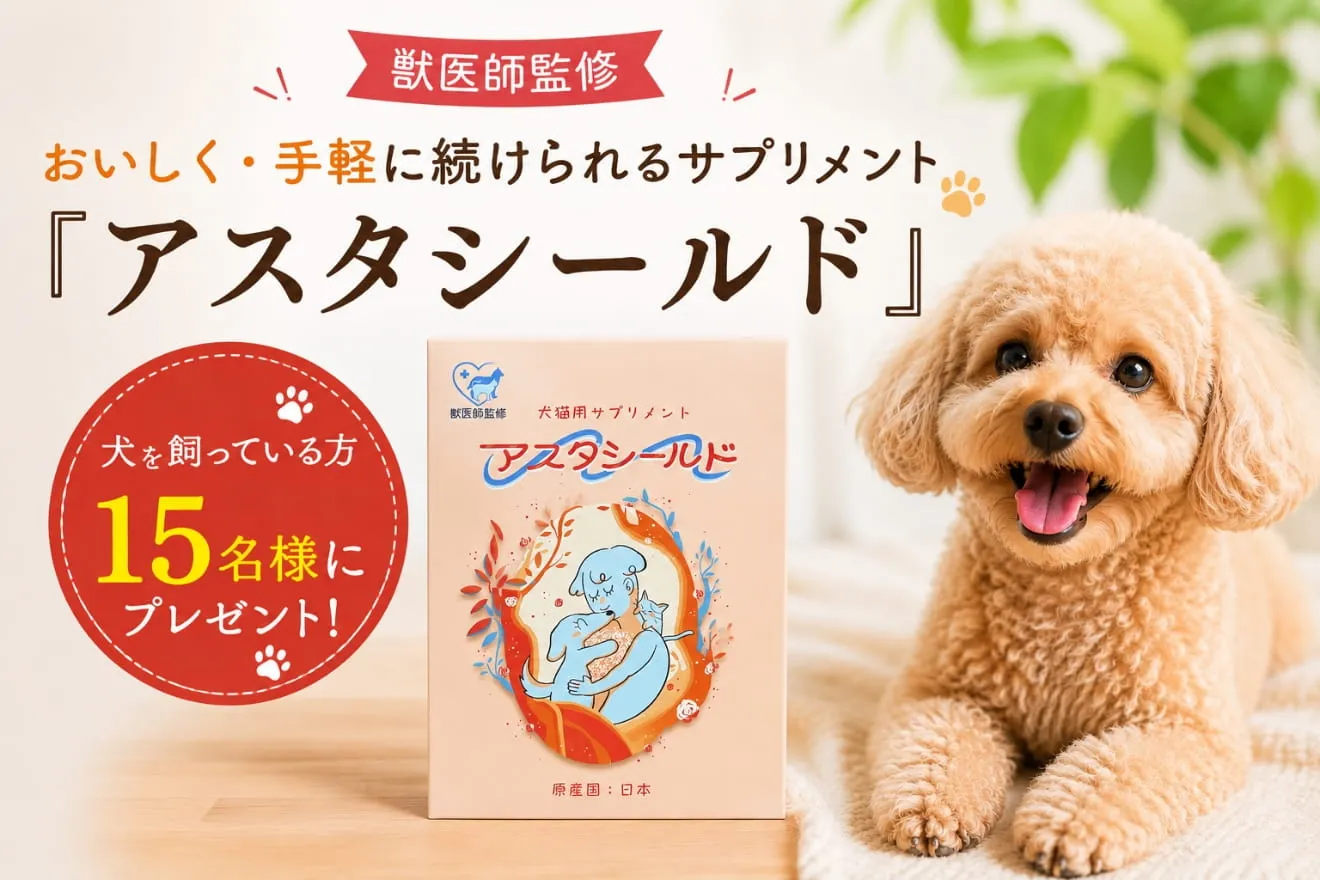 トップバナー