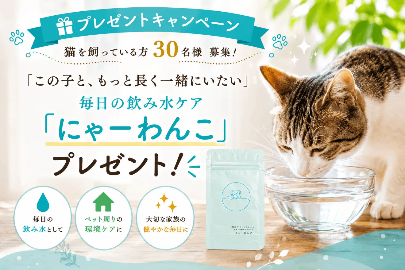 トップバナー