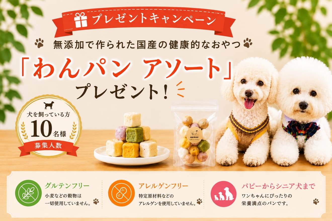 トップバナー