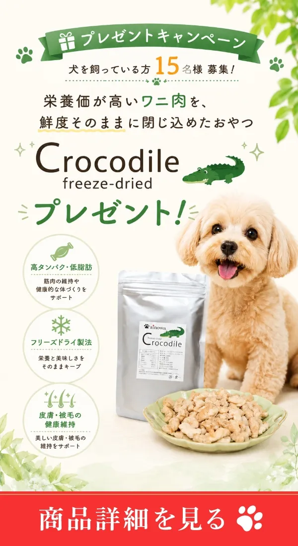 バナー
