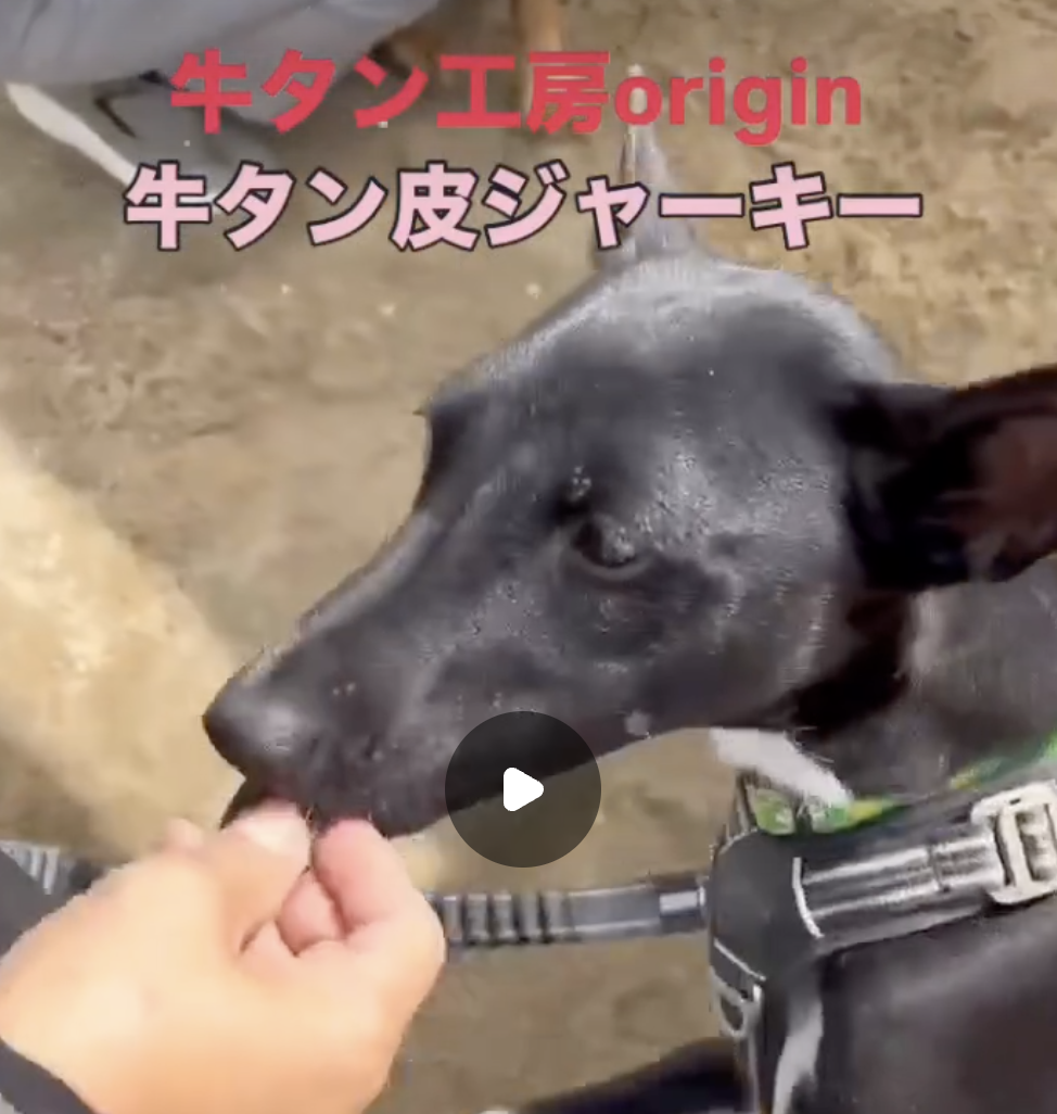 動画サムネイル