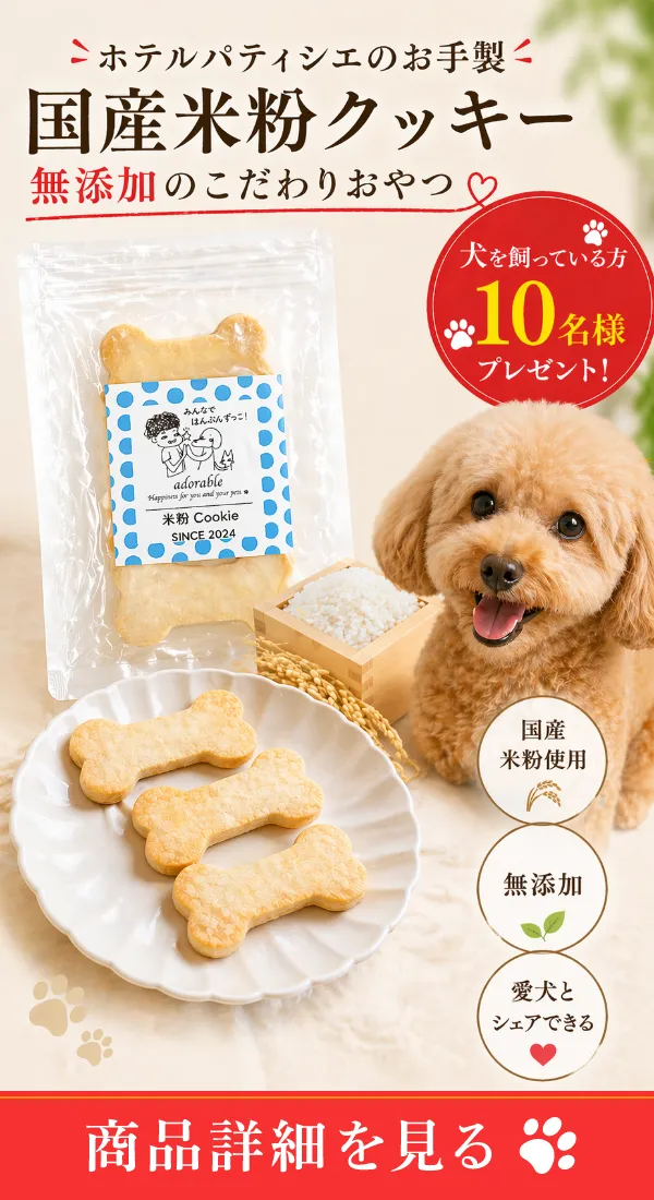 バナー