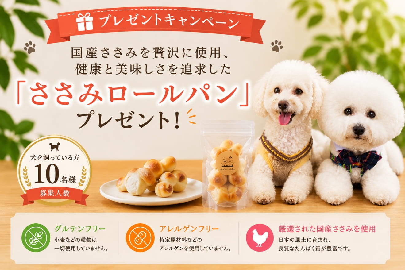 トップバナー
