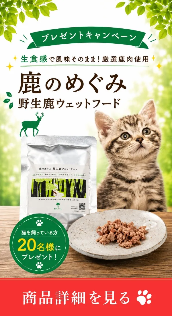バナー