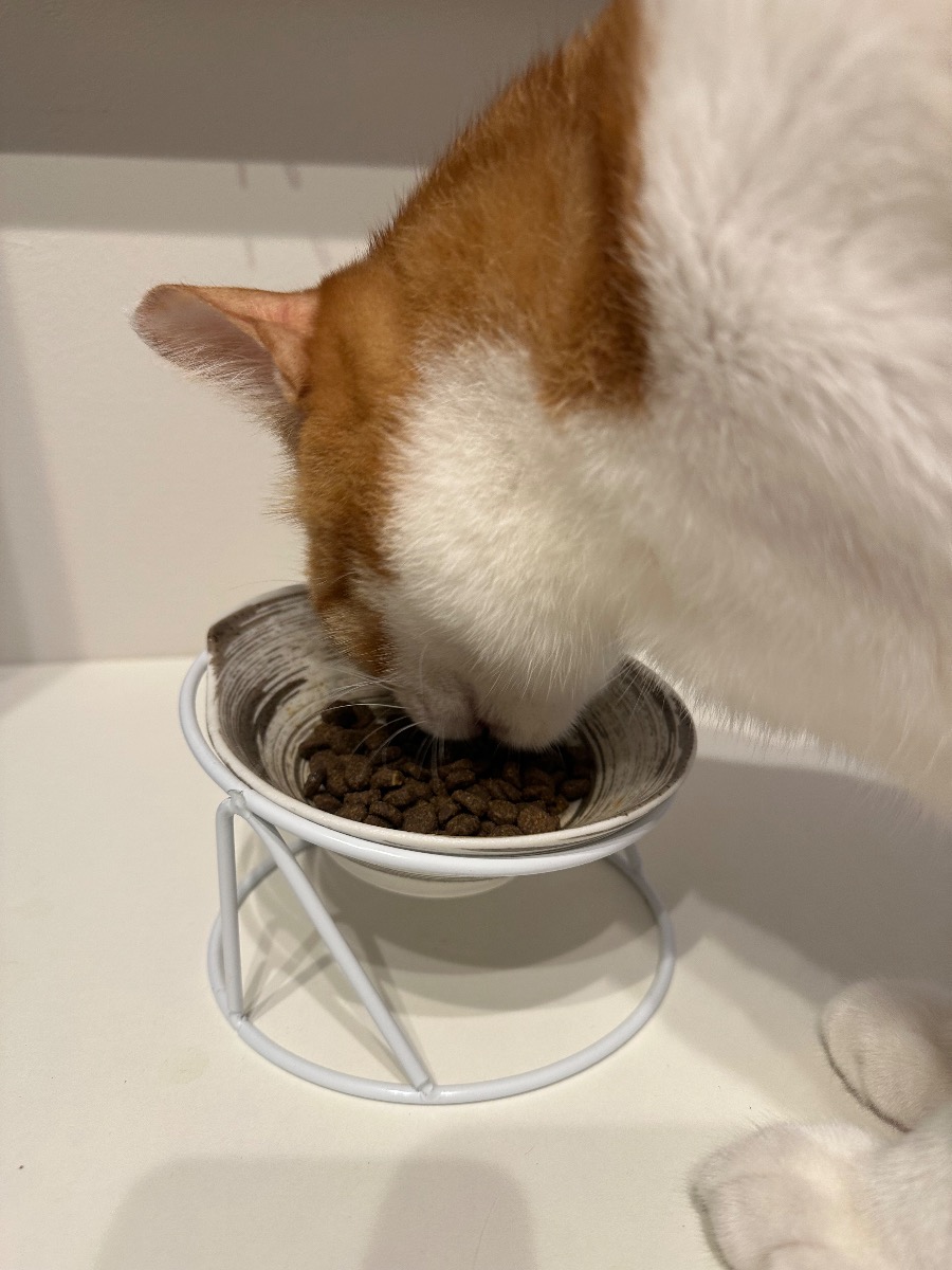 口コミ画像