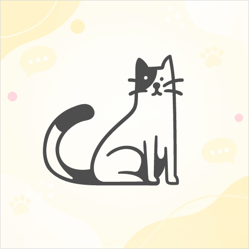 あなたの愛猫を紹介してください🐈 猫種・年齢・名前の由来など🐾