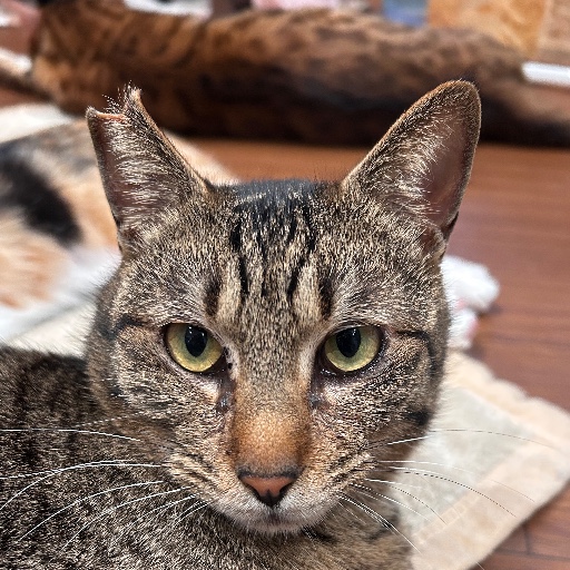 大和くん