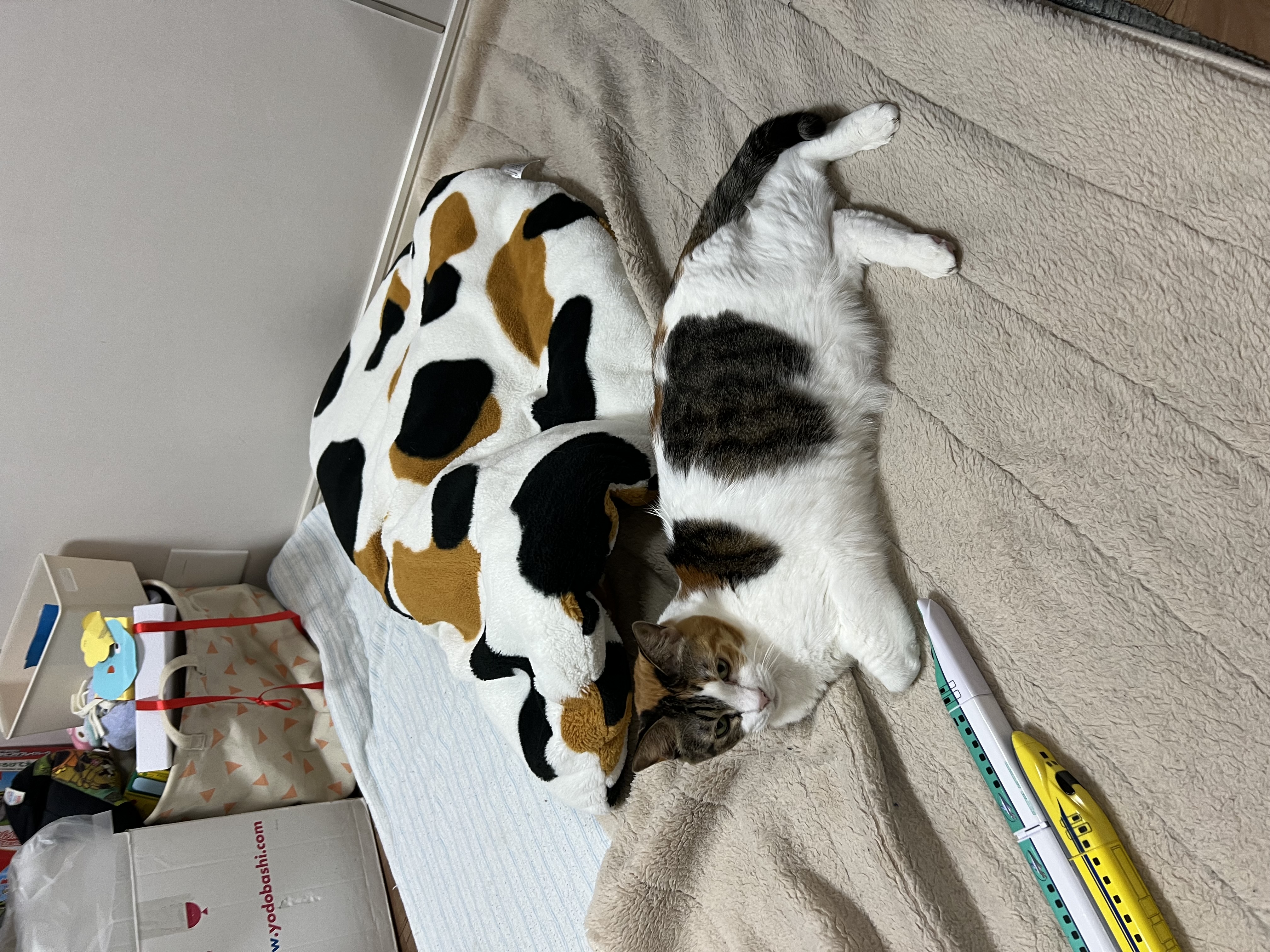 めい