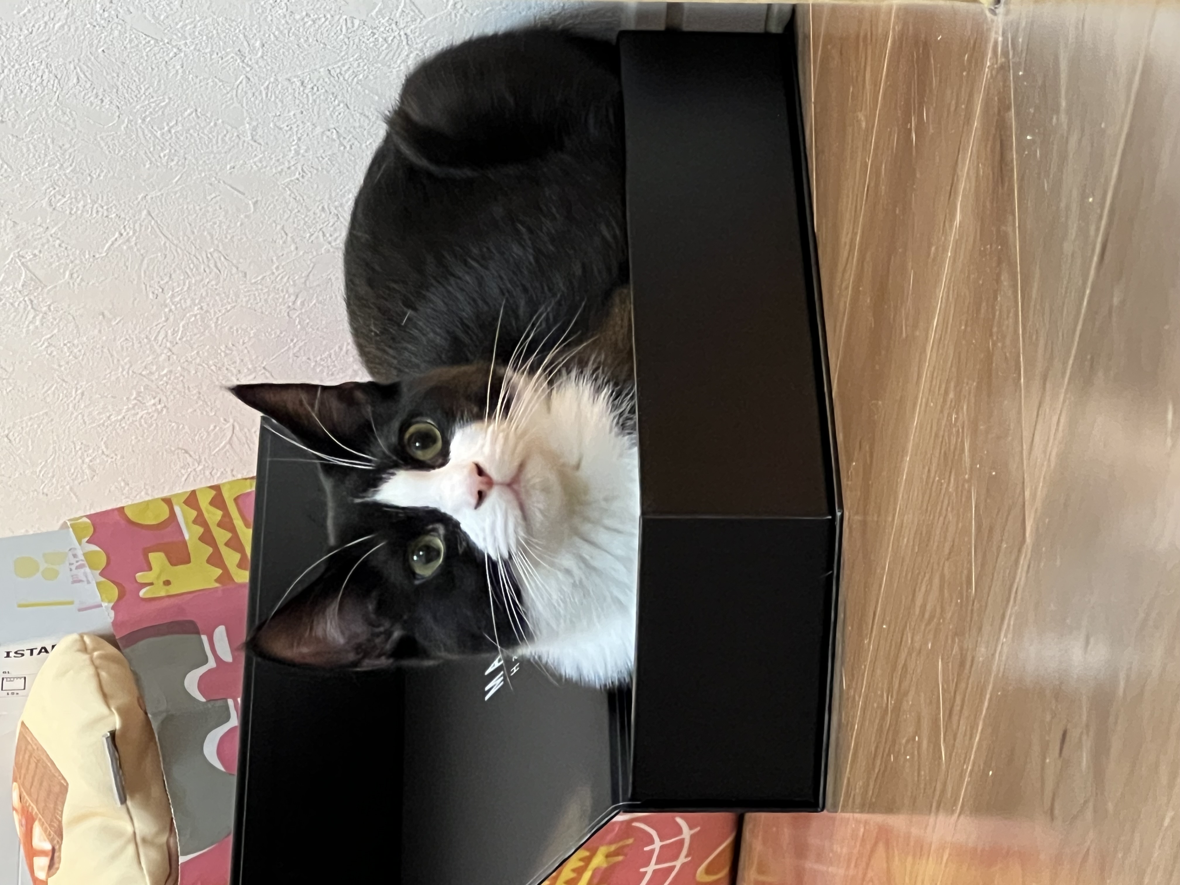かにまる