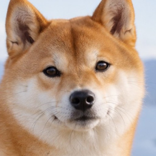 しばた