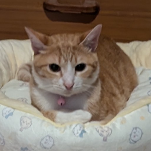 わか