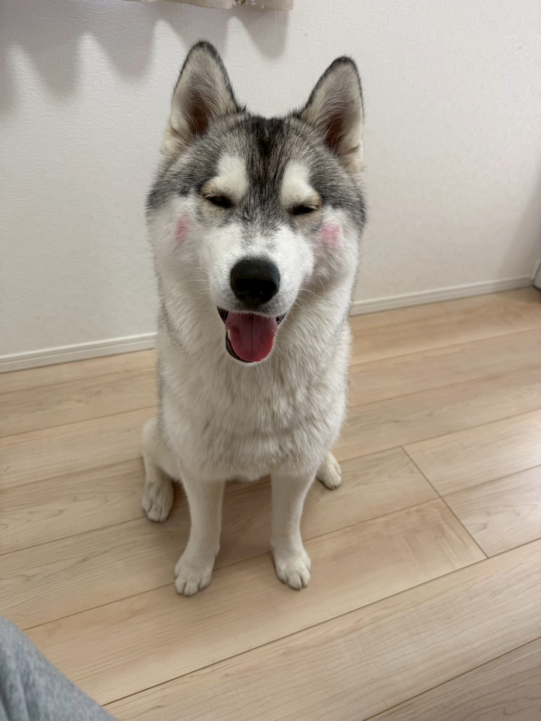 まろん