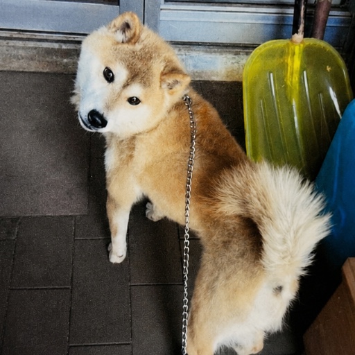 よろず