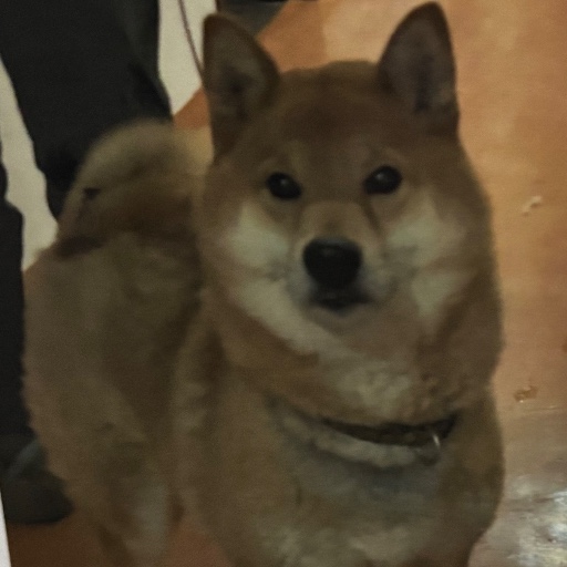 えびす