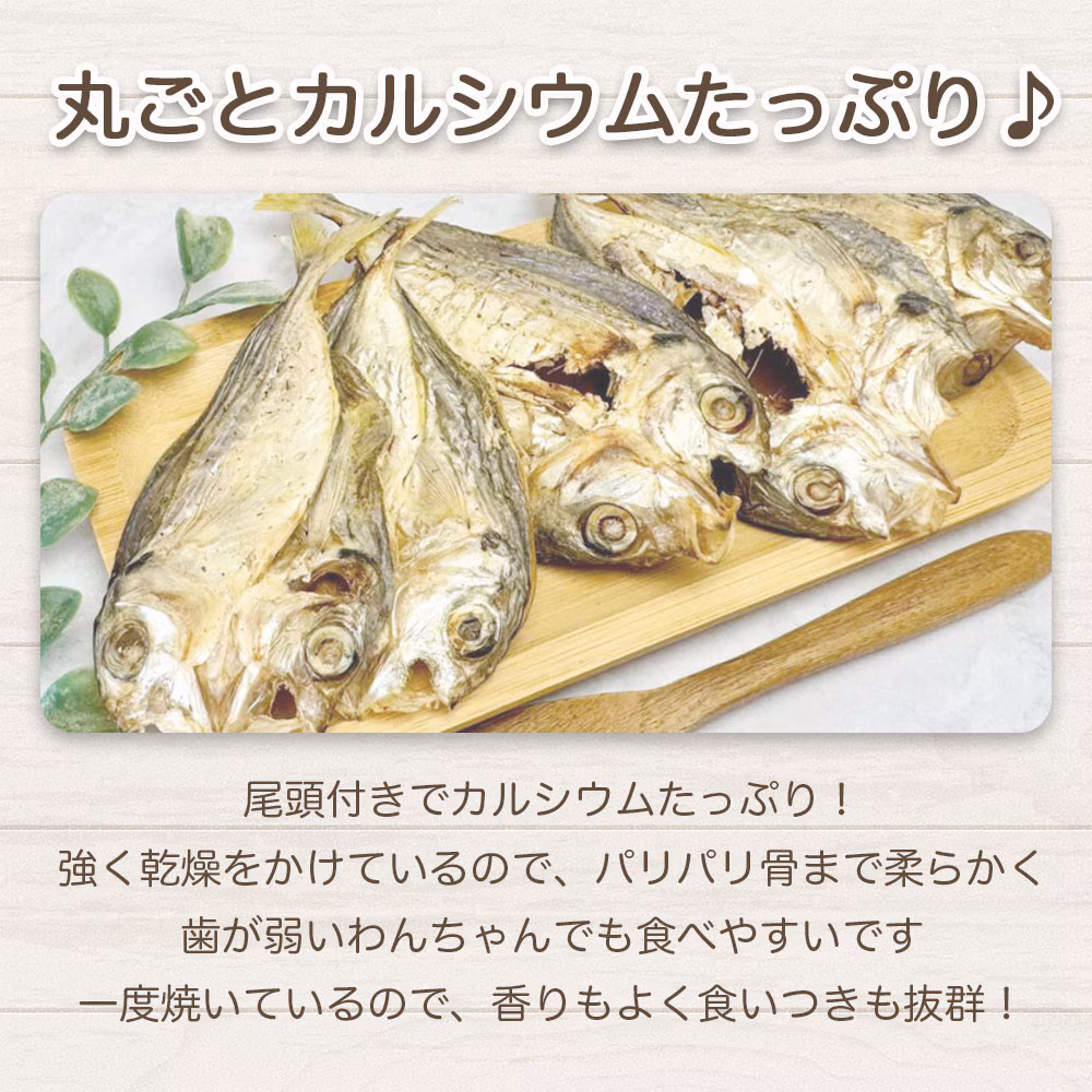 わんのはな あじの開き