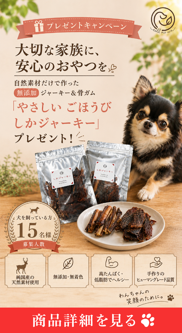 バナー