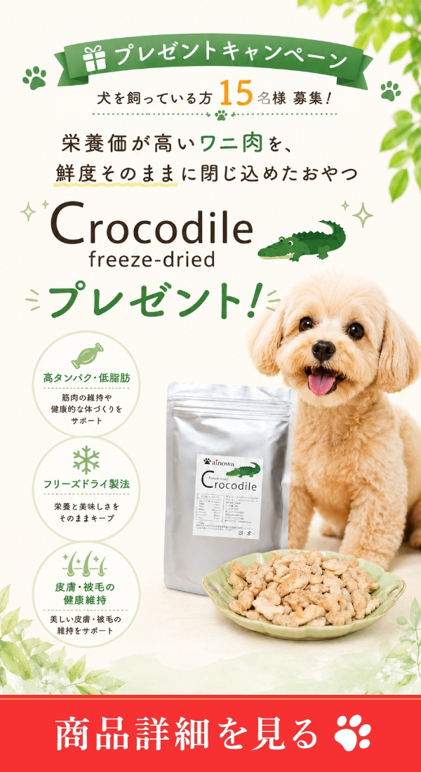 バナー