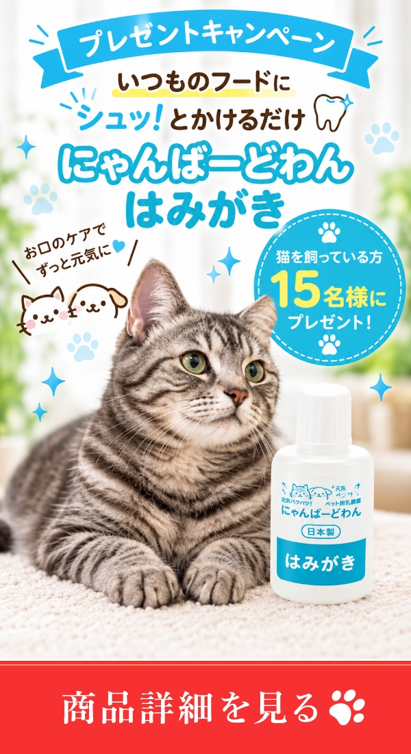バナー