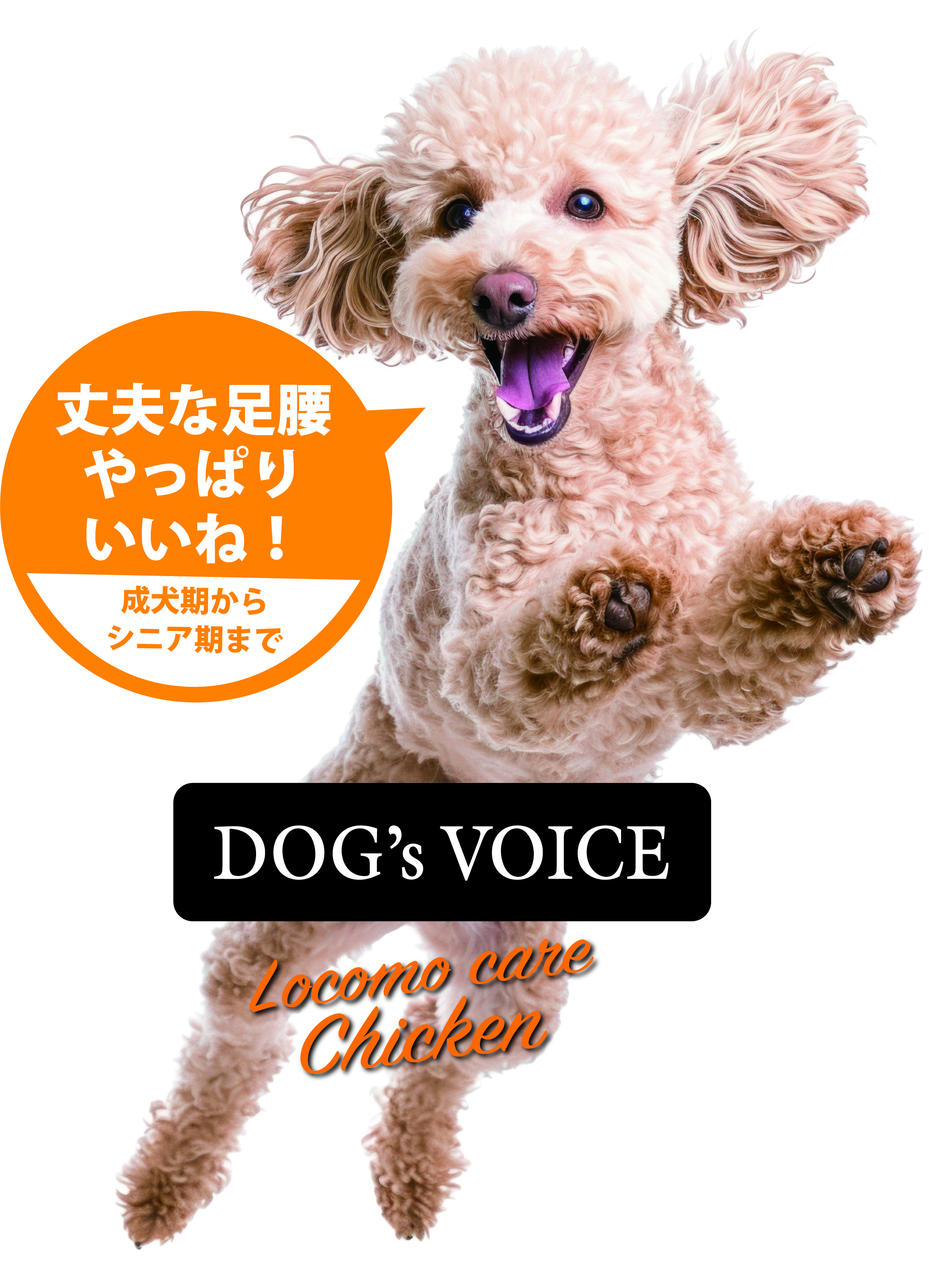 ドッグヴォイス　ロコモケアチキン 骨・筋肉・関節の健康維持が気になる犬用 （オールステージ）