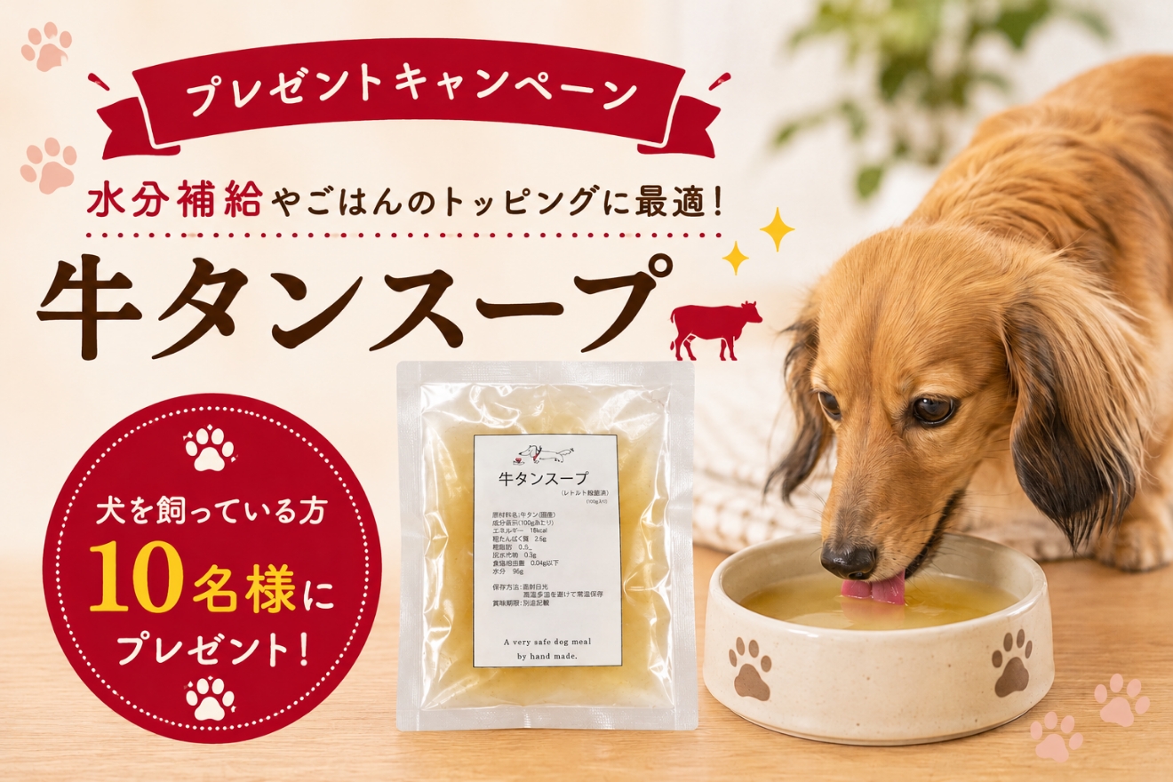トップバナー