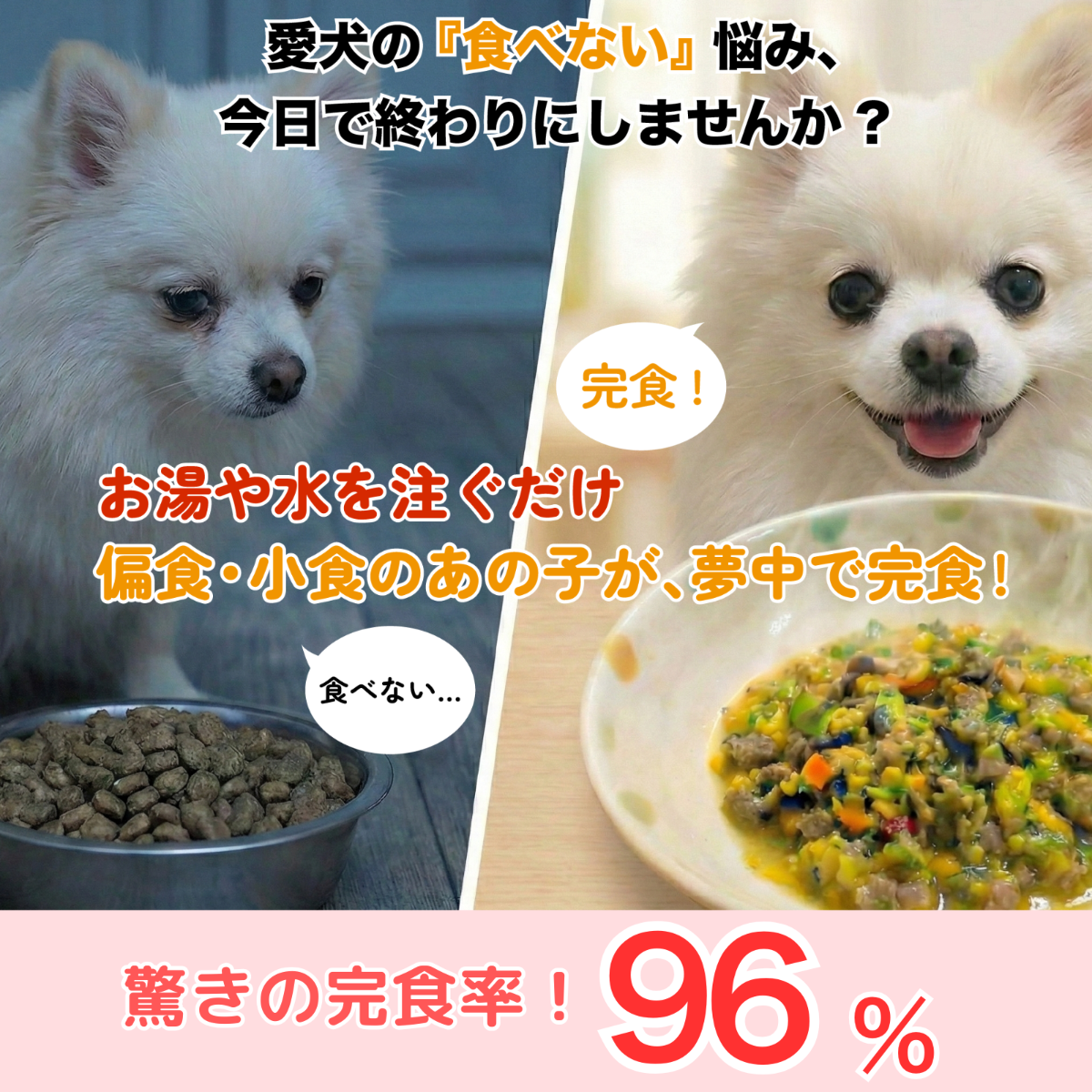 そららのるるる　手作りフリーズドライごはん、偏食の子向け　総合栄養食基準レシピ　チキン＆サーモンお試し６個セット