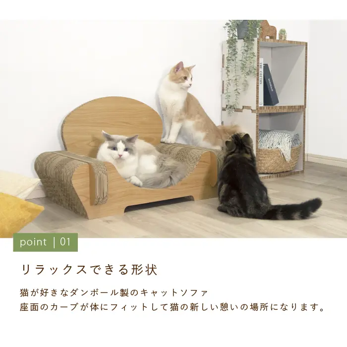 トトノイ