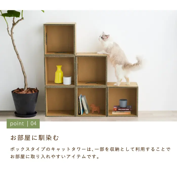 キャットボックス
