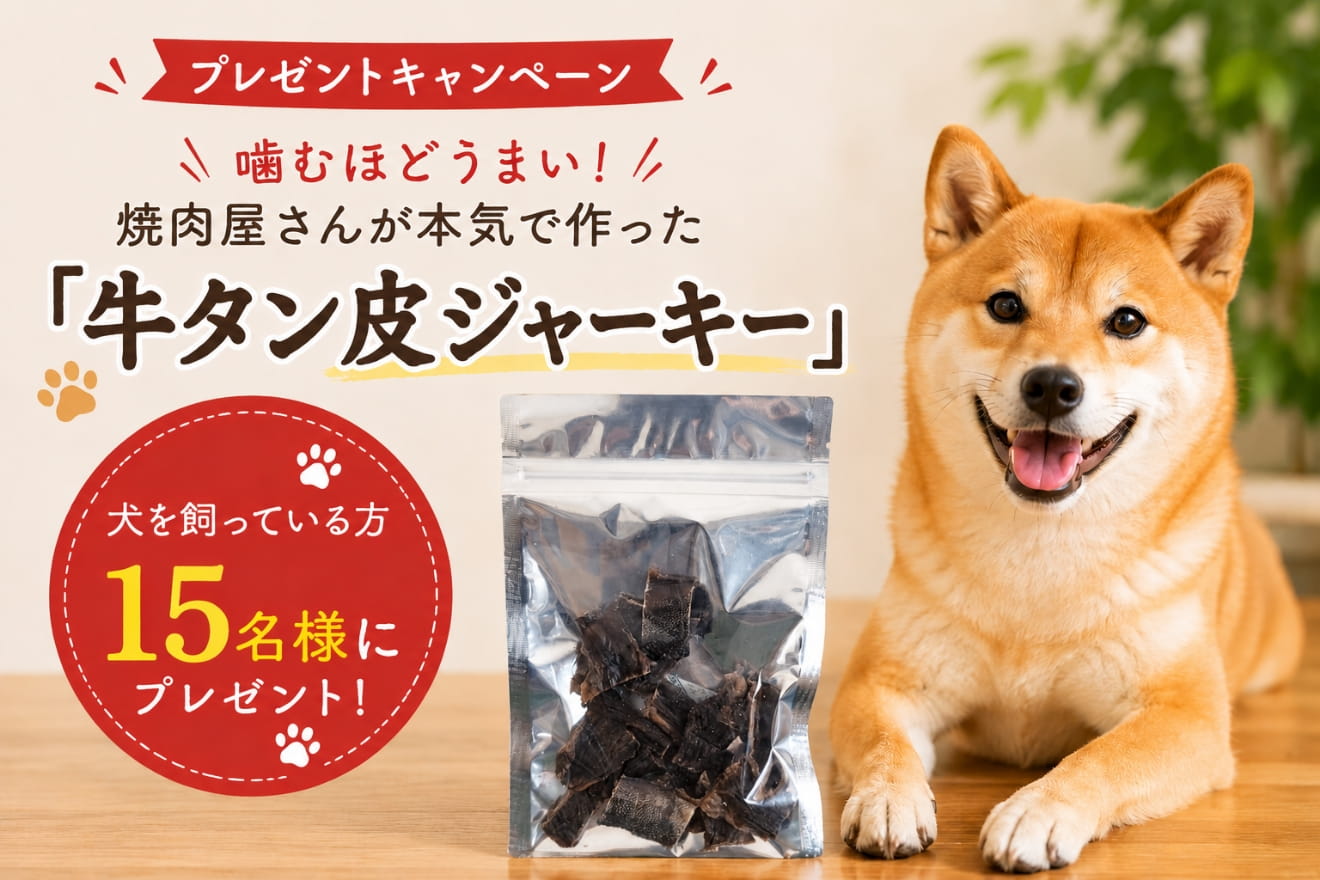 プレゼント】噛むほどうまい、焼肉屋さんが本気で作った「牛タン皮