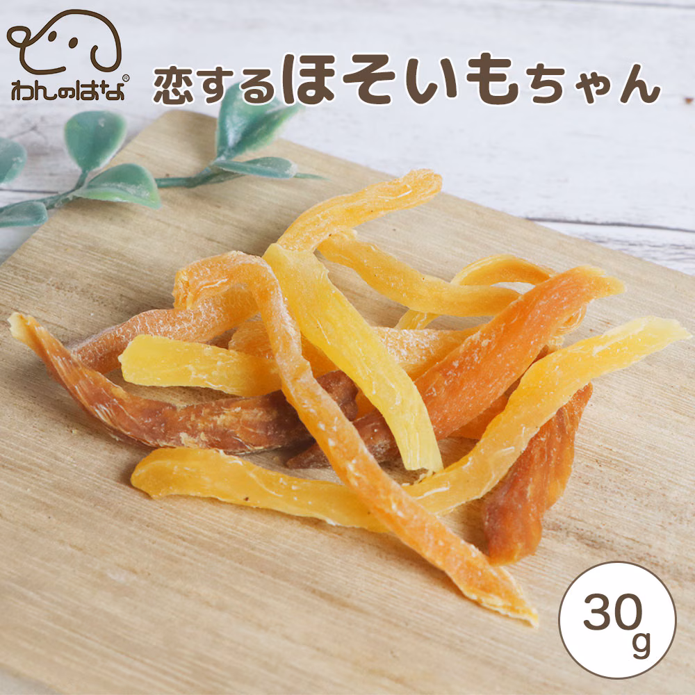 わんのはな 恋するほそいもちゃん