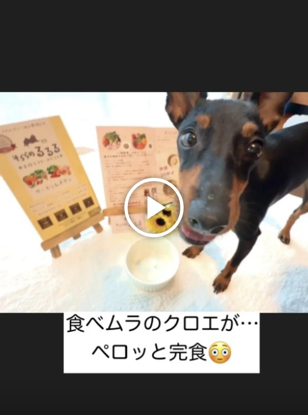 動画サムネイル