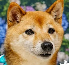 アバター