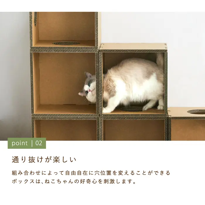キャットボックス