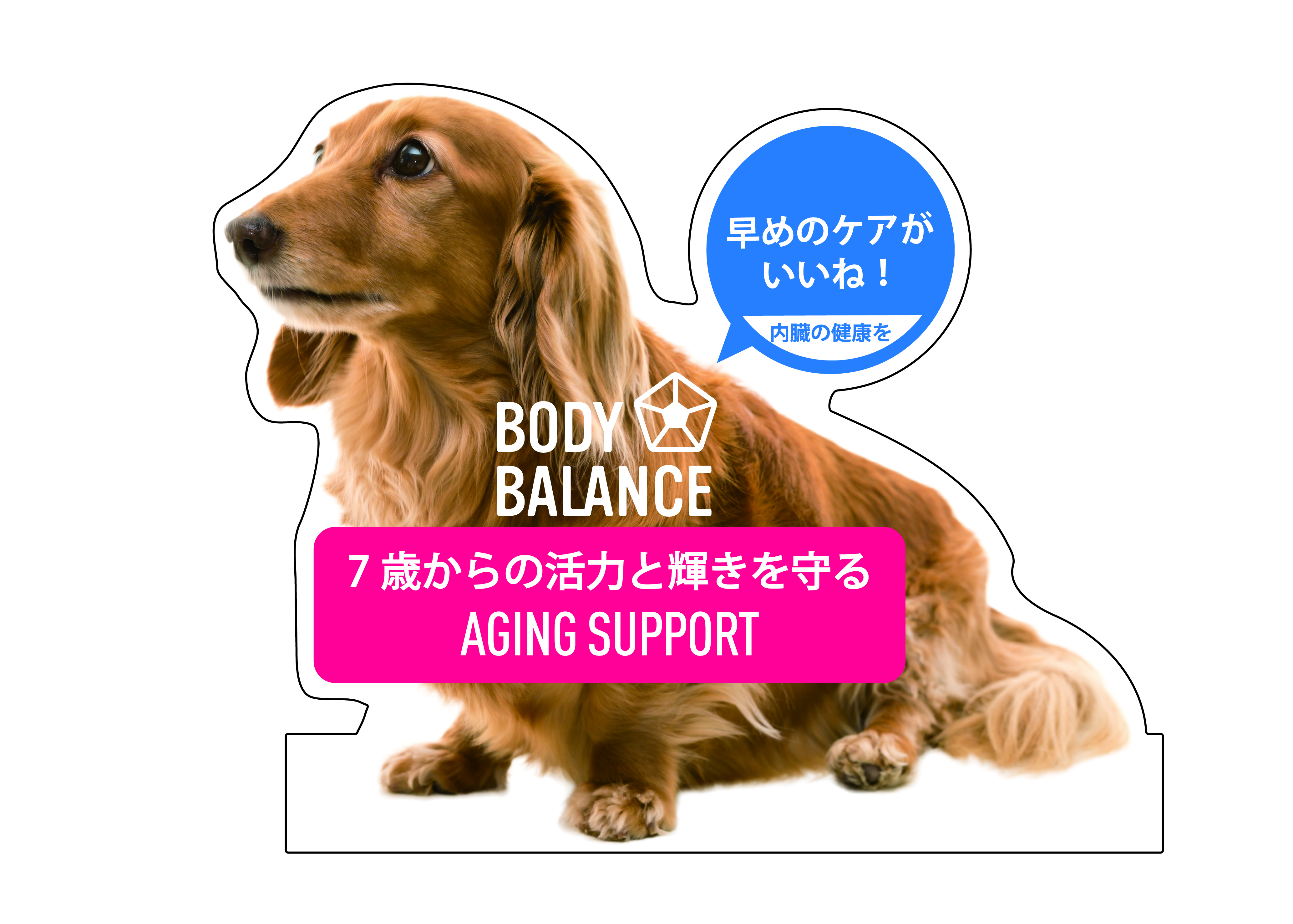 BODY BALANCE エイジングサポート　4ｋｇ