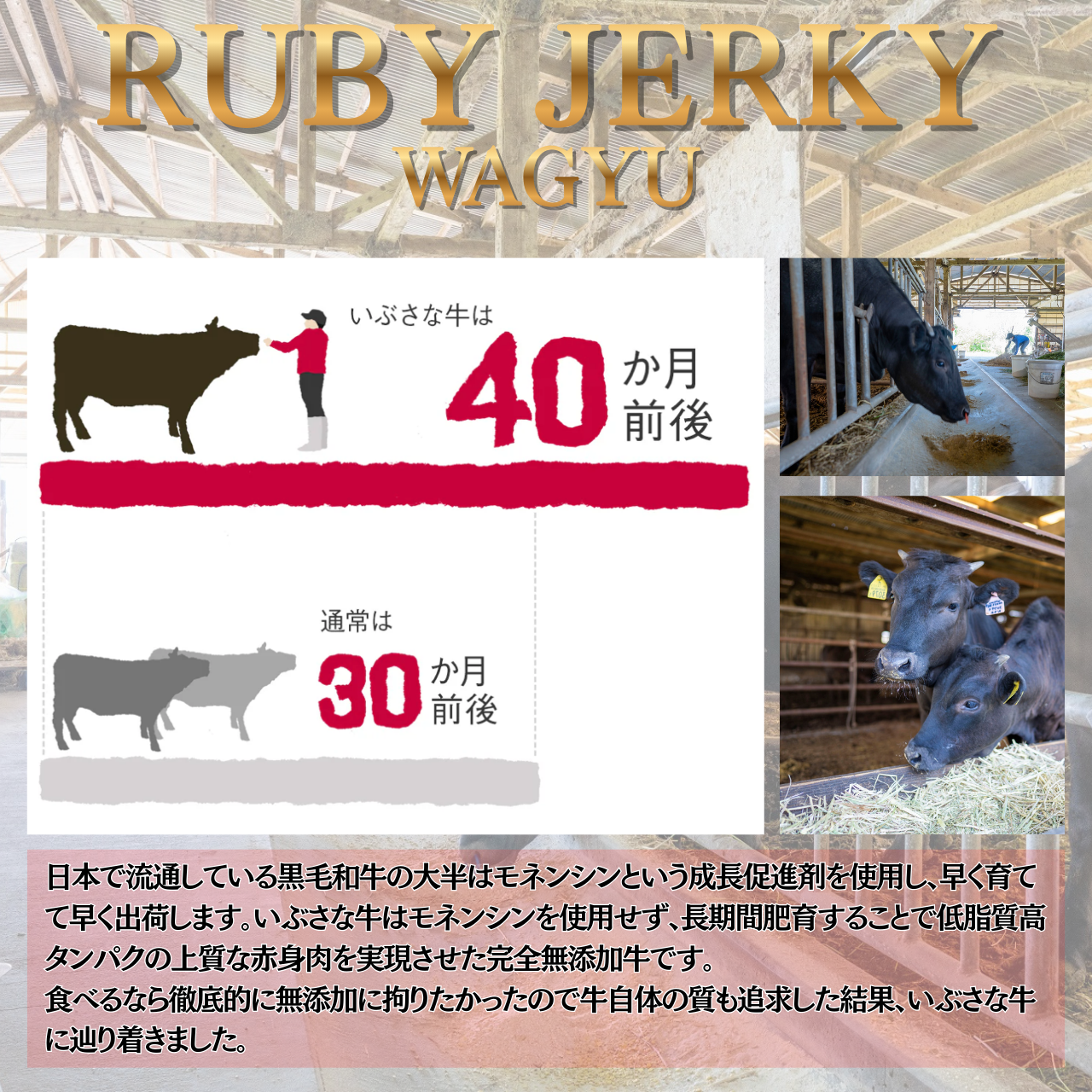 RUBY JERKY WAGYU