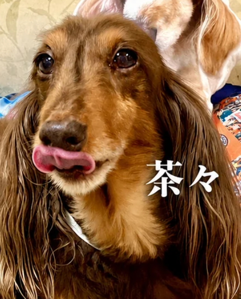 アバター