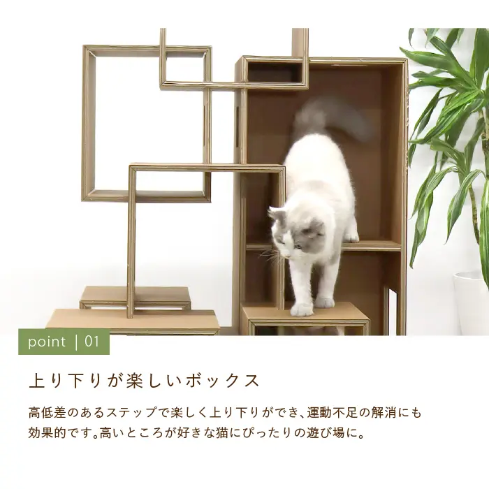 ラージセブンルームズ