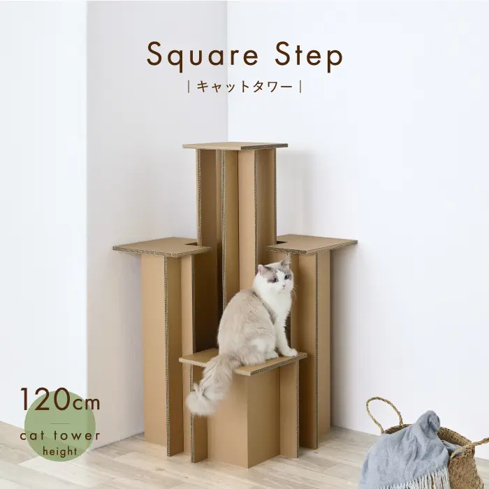 スクエアステップ