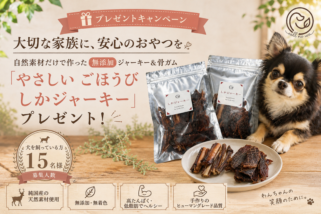 トップバナー