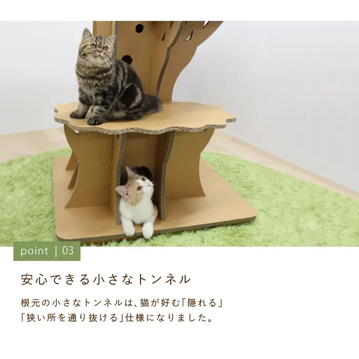 ラージツリーステップ