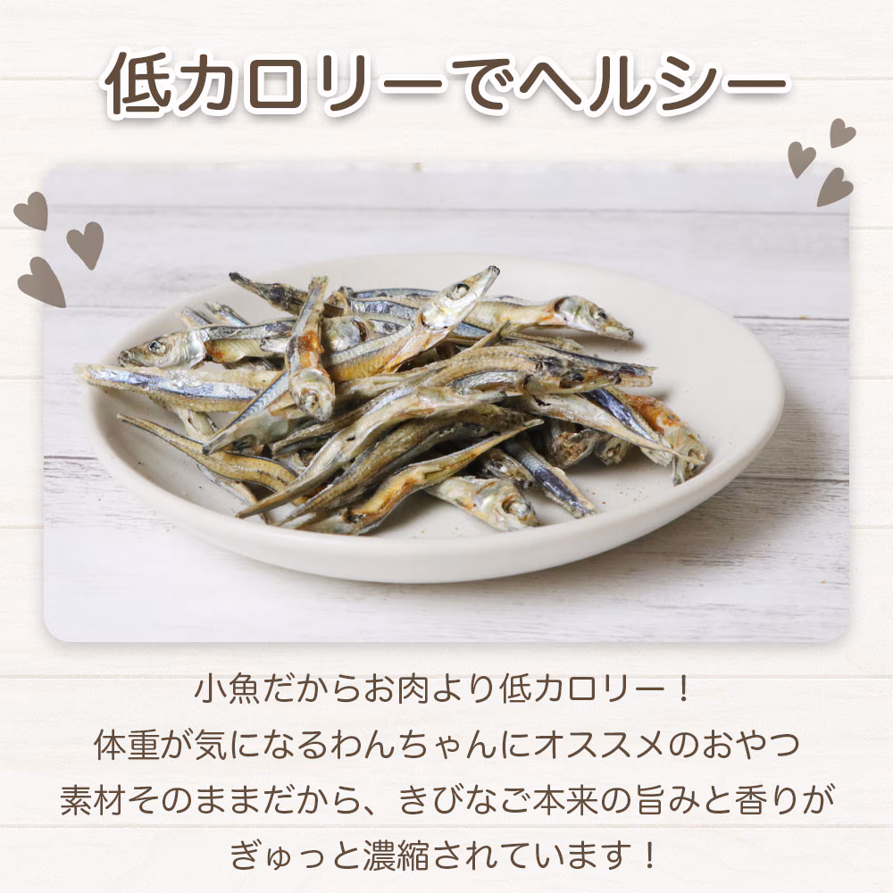 わんのはな きびなご