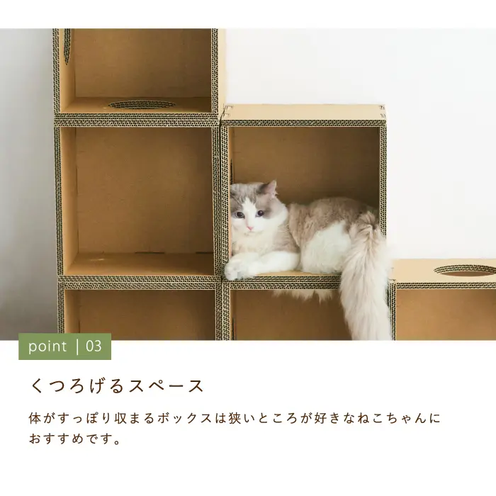 キャットボックス