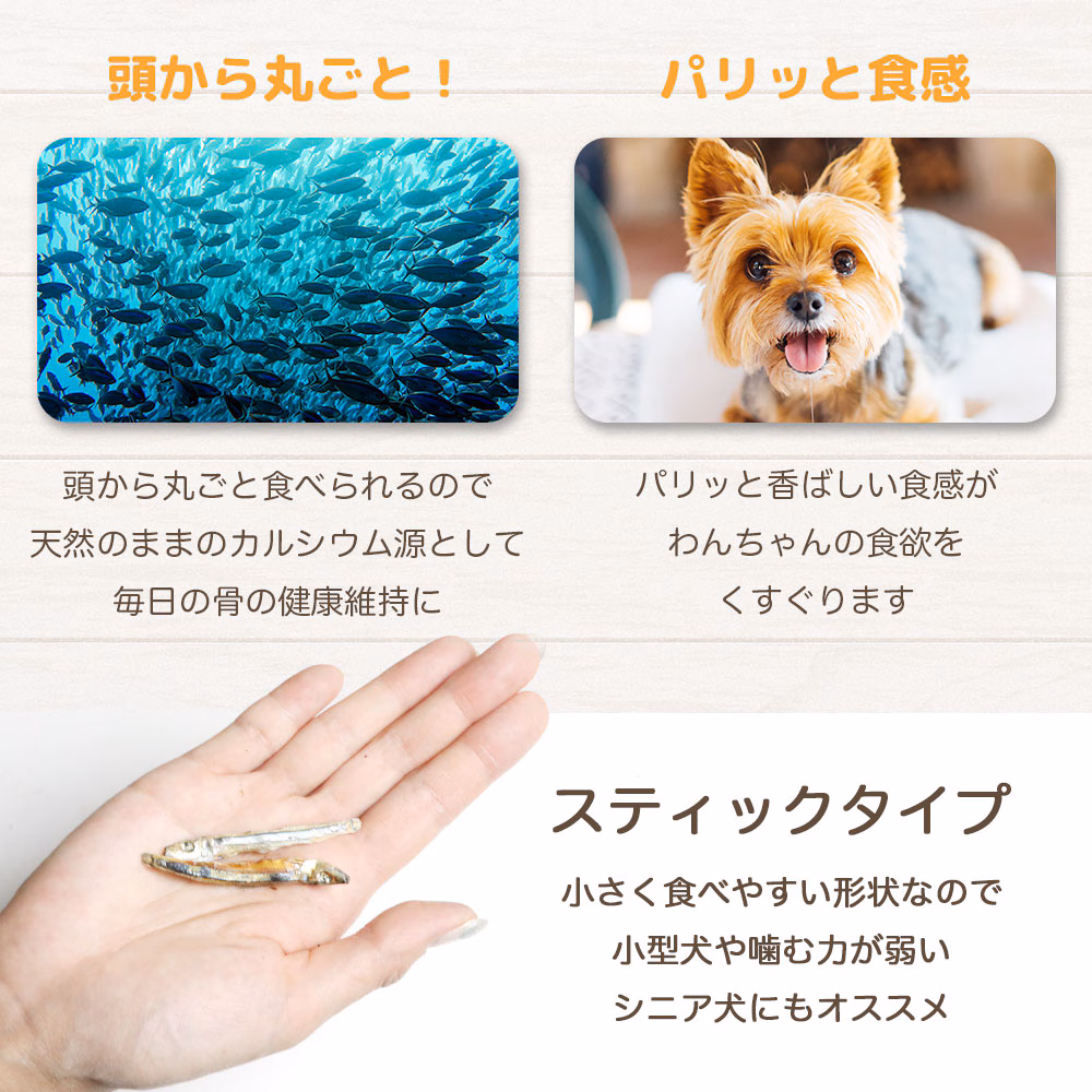 わんのはな きびなご