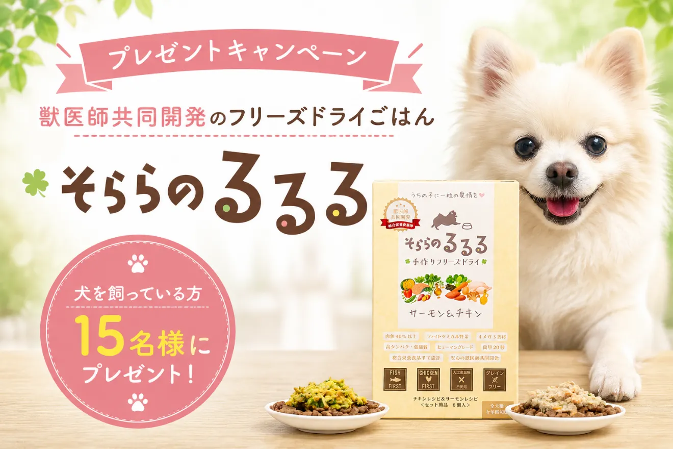 トップバナー