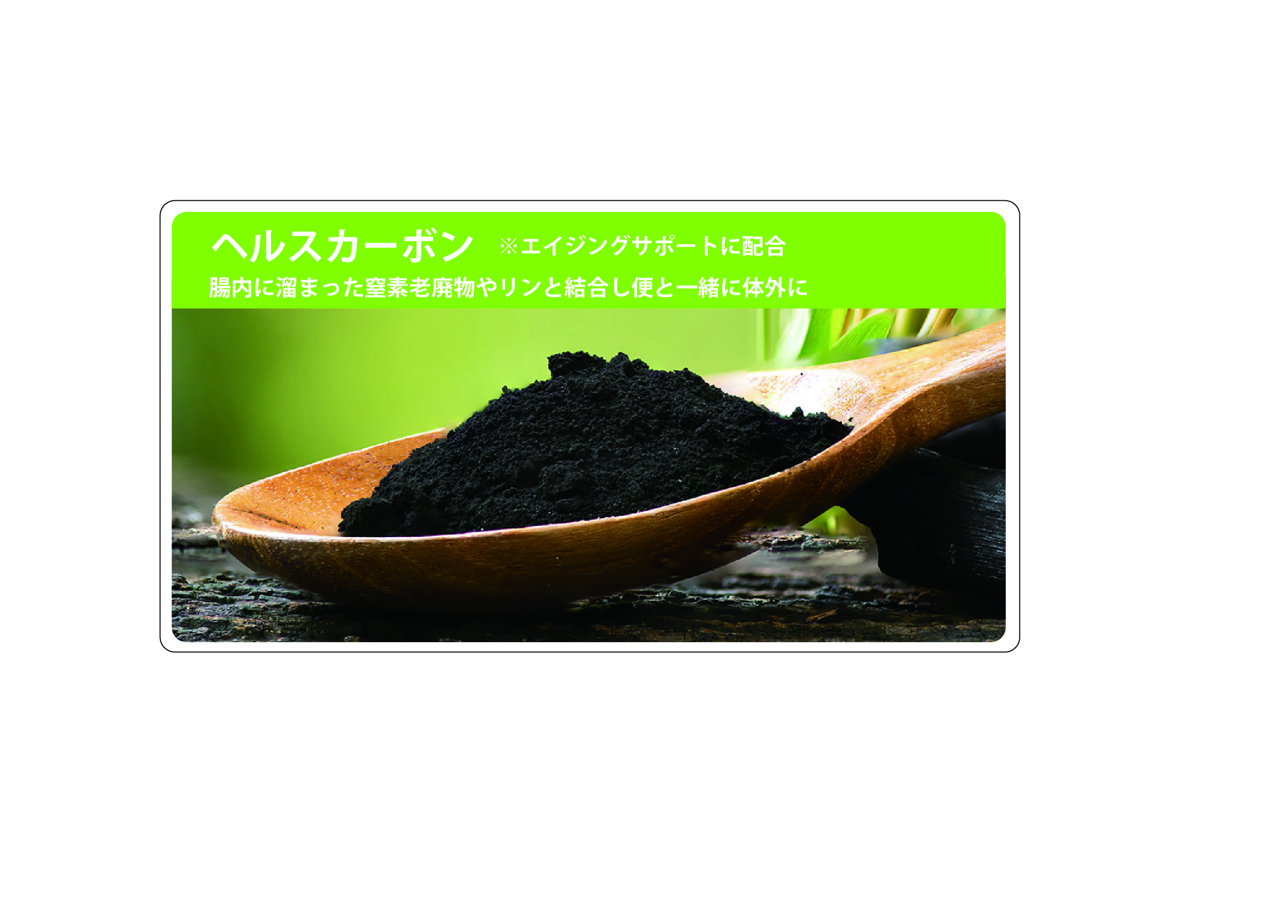 BODY BALANCE エイジングサポート　4ｋｇ